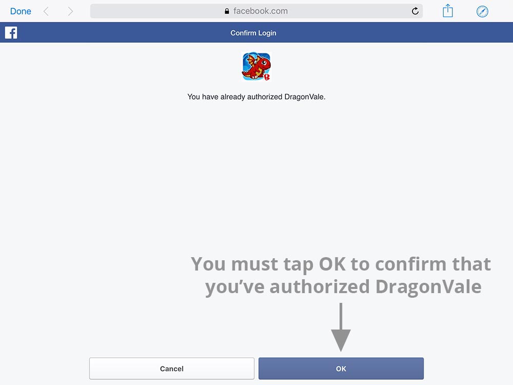facebook-authorize.jpg