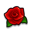 rose.png